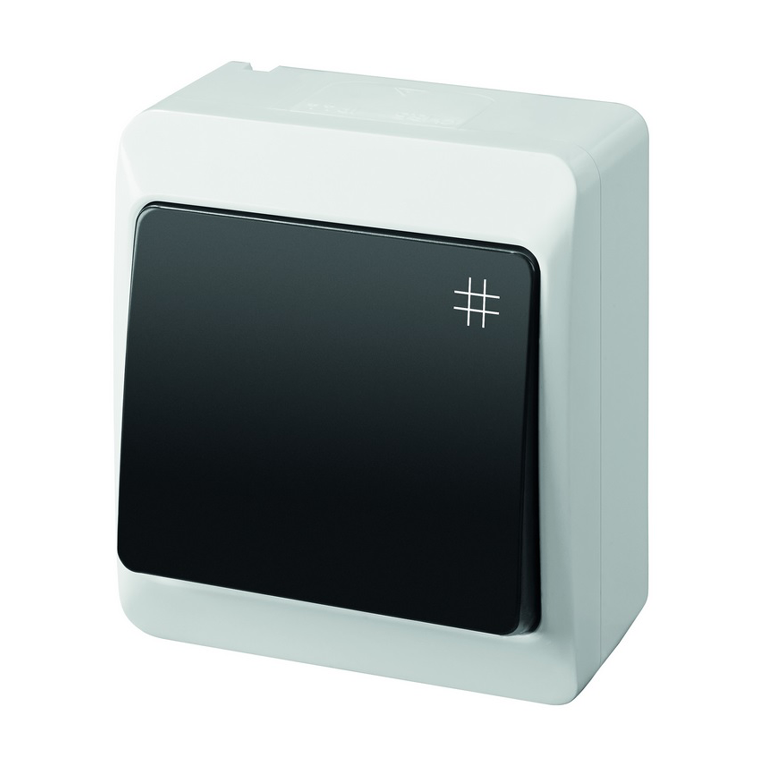 Aufputz-Serie grau transparent IP44 (Lichtschalter/Wechselschalter, Doppelschalter, Klingeltaster, 1-fach/2-fach/3-fach Steckdose)