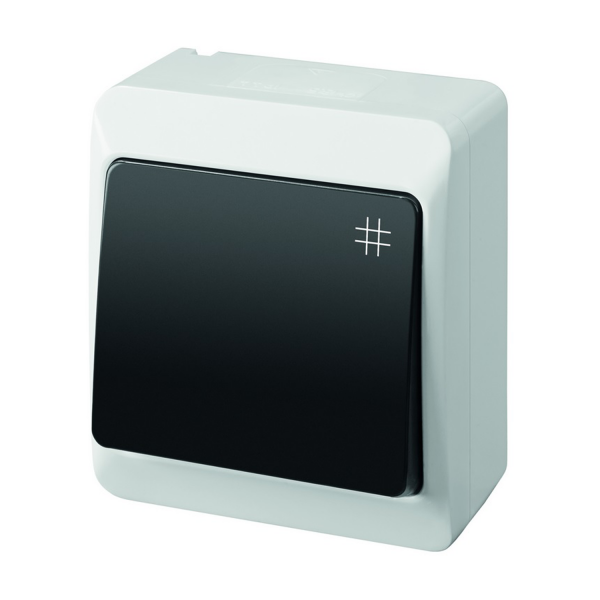 Aufputz-Serie grau transparent IP44 (Lichtschalter/Wechselschalter, Doppelschalter, Klingeltaster, 1-fach/2-fach/3-fach Steckdose) Kreuzschalter