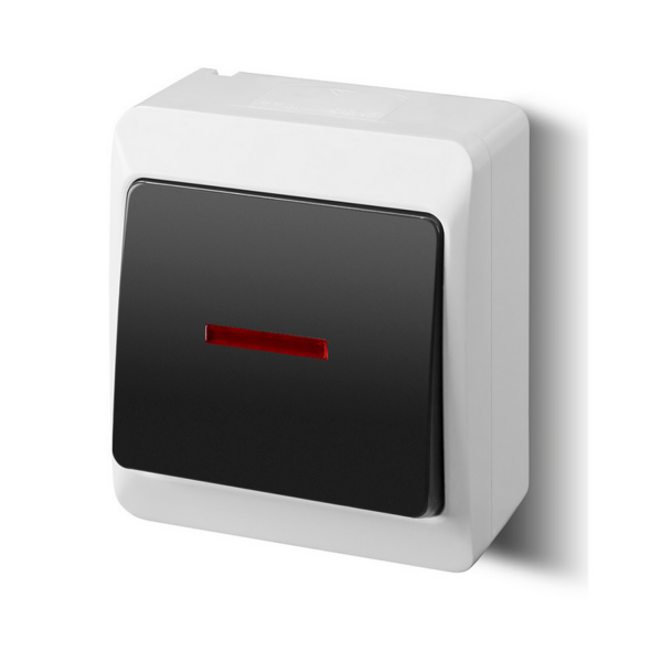 Aufputz-Serie grau transparent IP44 (Lichtschalter/Wechselschalter, Doppelschalter, Klingeltaster, 1-fach/2-fach/3-fach Steckdose) Kontrollschalter
